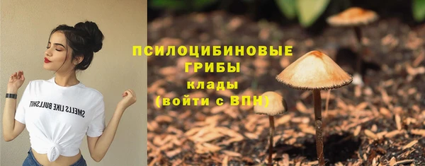 ешки Пестово