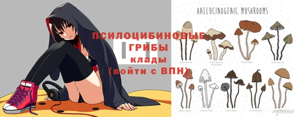 мдма Богданович