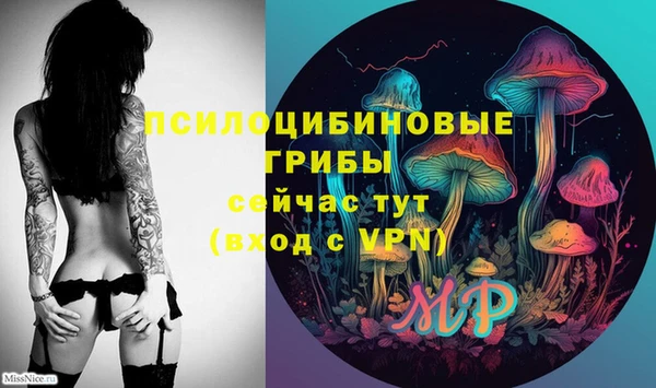 марки lsd Белокуриха