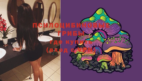 хмурый Белоозёрский