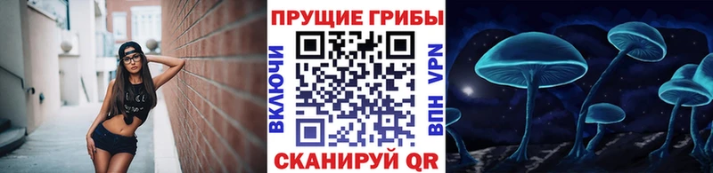 где продают наркотики  Невель  Галлюциногенные грибы мицелий 